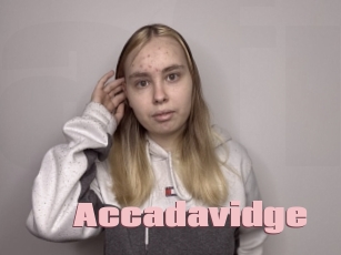 Accadavidge