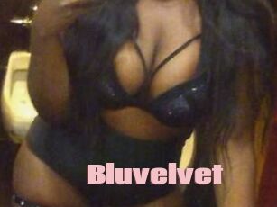 Bluvelvet