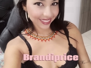 Brandiprice