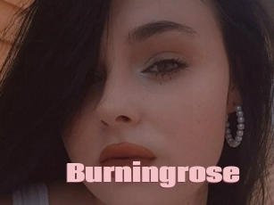 Burningrose