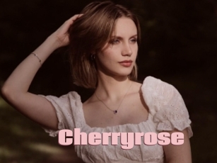 Cherryrose