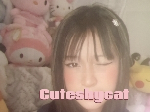 Cuteshycat