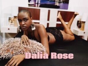 Dalia_Rose