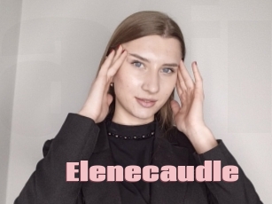 Elenecaudle