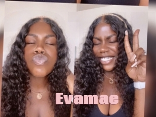 Evamae