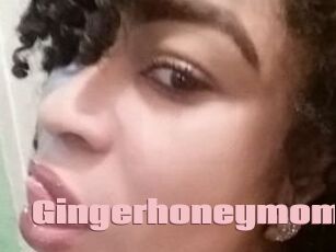 Gingerhoneymom