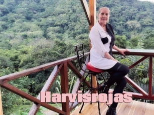 Harvisrojas