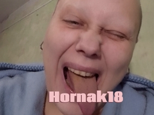 Hornak18