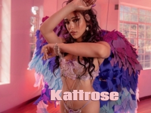 Kattrose