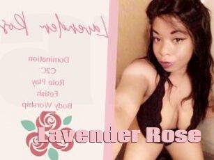 Lavender_Rose