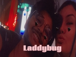 Laddybug