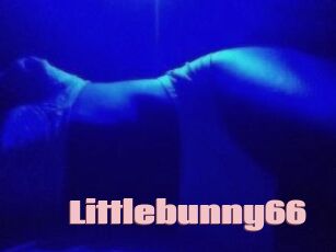 Littlebunny66