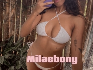 Milaebony