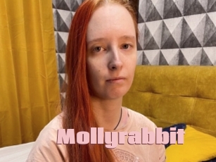 Mollyrabbit