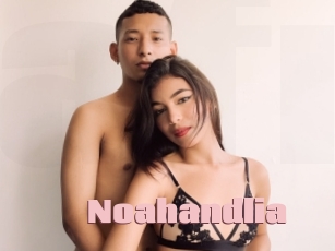 Noahandlia