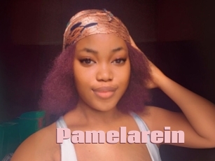 Pamelarein