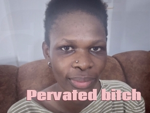 Pervated_bitch