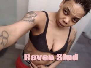 Raven_Stud