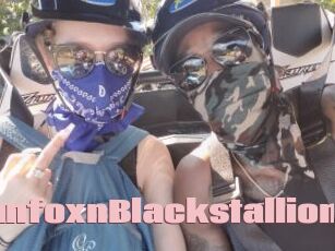 RussianfoxnBlackstallion