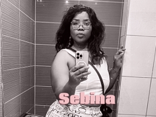 Sebina