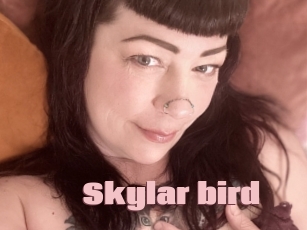 Skylar_bird