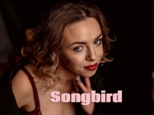 Songbird