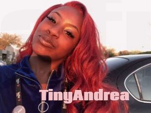 TinyAndrea