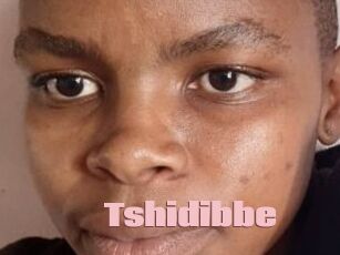 Tshidibbe