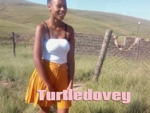 Turtledovey