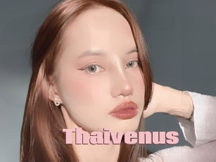 Thaivenus