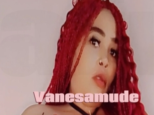 Vanesamude