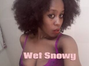 Wet_Snowy