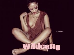 Wildcatty