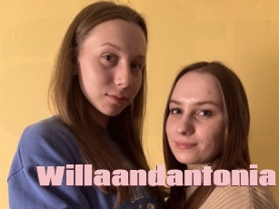 Willaandantonia