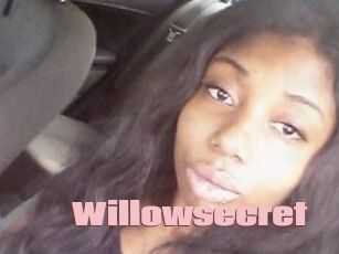 Willow_secret